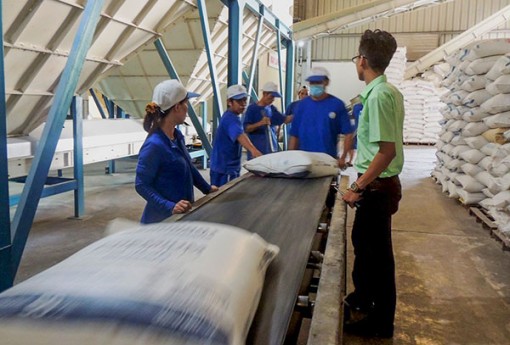 Mỗi tháng có 15.000 doanh nghiệp thành lập mới và quay trở lại hoạt động