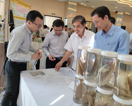 Để thúc đẩy phát triển bền vững vùng Tây Nam Bộ