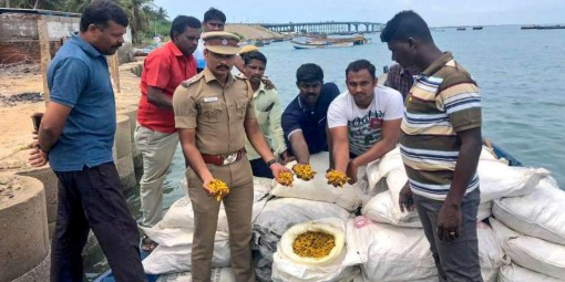 Đổi nghệ lấy vàng!