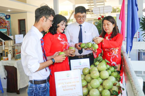 Hợp tác xã phát huy vai trò

“bà đỡ” trong liên kết tiêu thụ sản phẩm nông sản