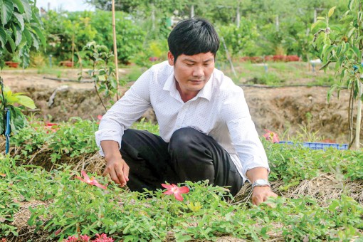 Tỉ phú dược liệu

xứ cù lao Hồng Ngự