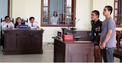 Cơ cấu tổ chức và hoạt động

của Trung tâm Trợ giúp pháp lý