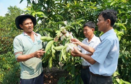Thi đua sản xuất, kinh doanh giỏi