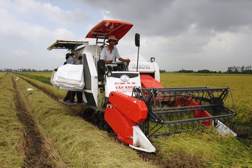 Sức sống từ xã nông thôn mới nâng cao Trường Thành
