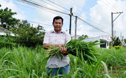 ទម្រង់​ចិញ្ចឹម​គោ​មេ​និង​ផលិត​ស្រូវ​របស់​លោក​ម៉ួង​