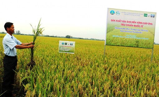 <br><font color="green">Ngành Nông nghiệp</font></br> Một năm vượt khó thành công