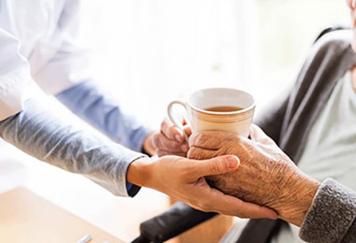 Uống từ 5 ly trà mỗi ngày tốt cho trí não người cao tuổi