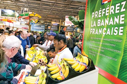 Trái ngon xuất ngoại