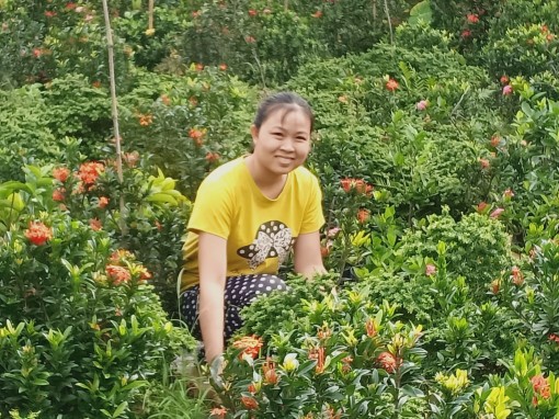 Thêm thu nhập nhờ hoa kiểng Tết