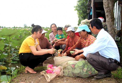 Nỗ lực thực hiện chính sách an sinh xã hội