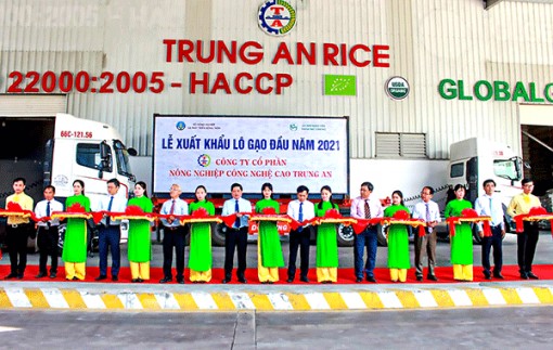 Công ty CP Nông nghiệp Công nghệ cao Trung An xuất khẩu lô hàng đầu năm