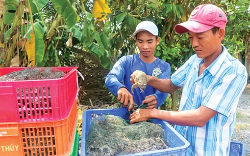 Giá nhiều loại thủy sản tăng