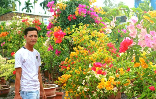 Thêm một vườn hoa đón du khách check-in