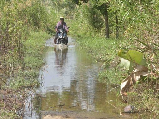 Vùng trấp còn nhiều khó khăn