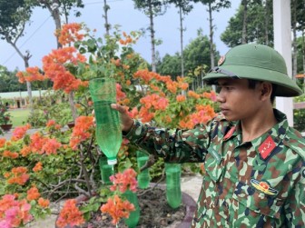 Cây vẫn xanh trên đất khô cằn