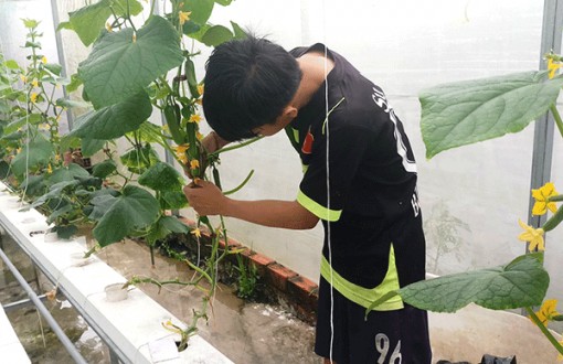 Thúc đẩy ứng dụng khoa học, công nghệ trong nông nghiệp