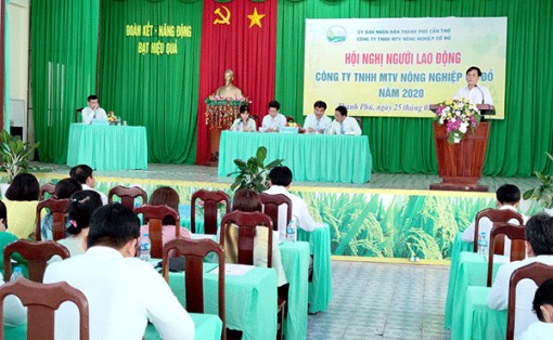 Công ty TNHH MTV Nông nghiệp Cờ Ðỏ đạt doanh thu hơn 66,5 tỉ đồng