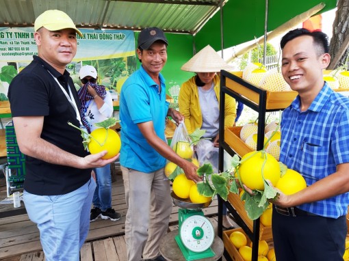 Phát triển kinh tế tuần hoàn