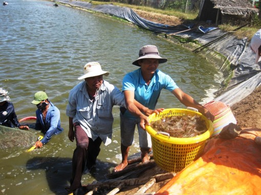 Diện mạo mới ở Trà Vinh