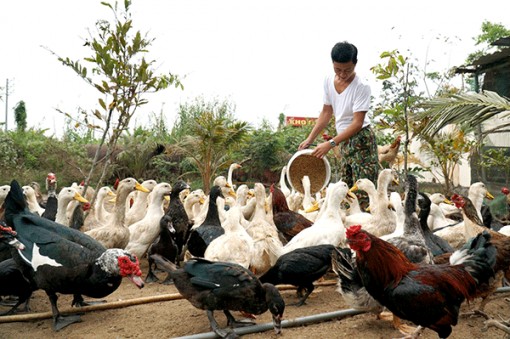 Chăm lo cho cán bộ, chiến sĩ dịp Tết