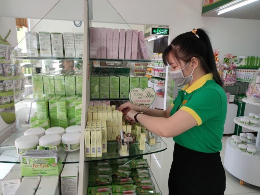 Bến Tre phát triển chuỗi giá trị cây dừa