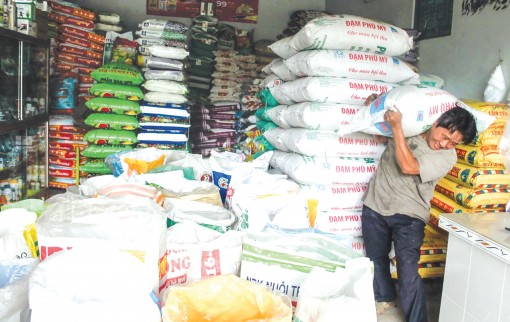 Giá phân bón tăng mạnh