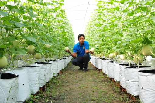 Góc nhỏ của IYFV 2021