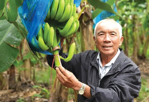 Năng động làm giàu