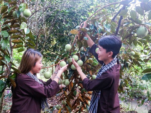 Linh hoạt phát triển du lịch cộng đồng