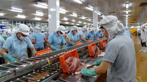 Đầu năm, khí thế lao động khẩn trương, nghiêm túc