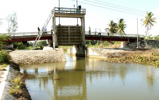 ĐBSCL thực hiện nhiều giải pháp ứng phó khô hạn, xâm nhập mặn