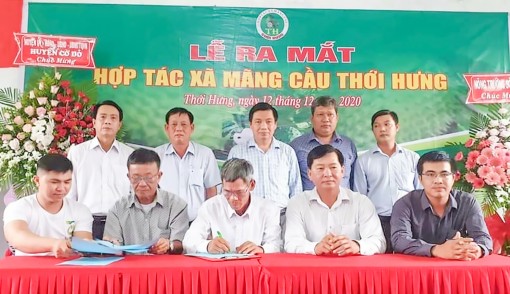 Ghi nhận ở

Đảng bộ xuất sắc