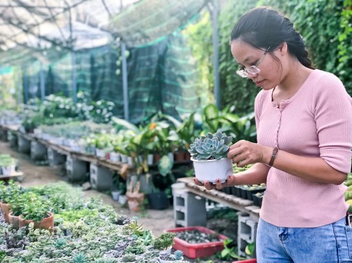 Cô gái khởi nghiệp

từ sen đá, xương rồng