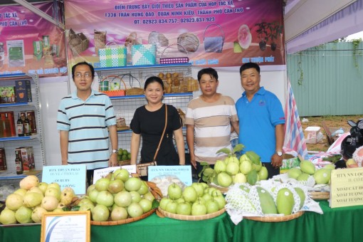 Phát triển hợp tác xã gắn với chuỗi giá trị sản phẩm chủ lực