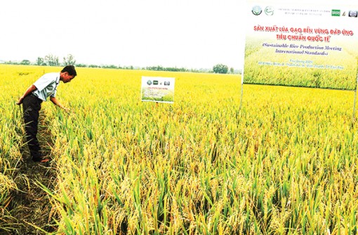 Làm nông “tử tế” ở Ðồng bằng sông Cửu Long <br>Bài cuối: Tạo “cú huých” đổi mới