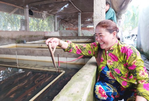 ប្រឹង​ប្រែង​ចាក​ភាព​ក្រី​ក្រ ឈាន​ឡើង​ធ្វើ​មាន​