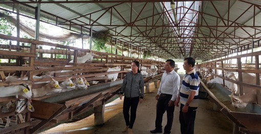 Triết lý khởi nghiệp

của Nguyễn Văn Đua