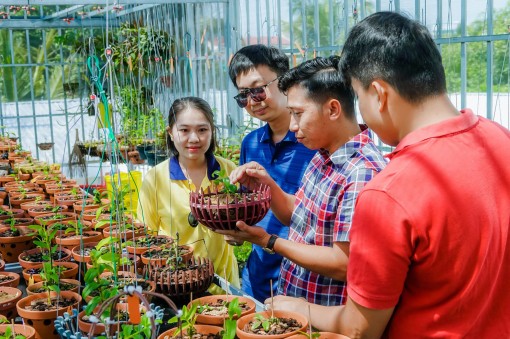 Ba chàng trai mê lan đột biến