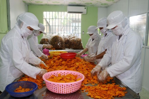 Doanh nghiệp năng động, bắt nhịp xu thế thị trường