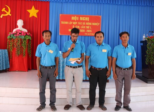 An Giang - liên kết, nâng chất phát triển tổ hợp tác, hợp tác xã