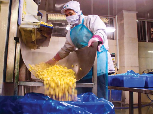 Tái cơ cấu sản xuất công nghiệp TP Cần Thơ

theo hướng hiện đại