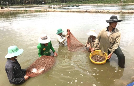 Tăng cường năng lực dự báo khí tượng, thủy văn, cảnh báo sớm thiên tai, thích ứng biến đổi khí hậu ở vùng ÐBSCL