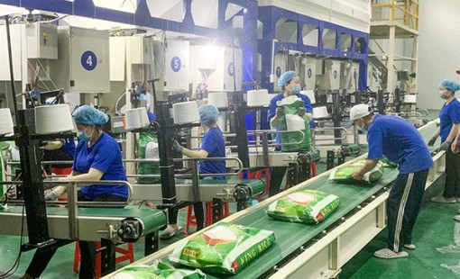 EVFTA thúc đẩy xuất khẩu của Việt Nam sang thị trường EU