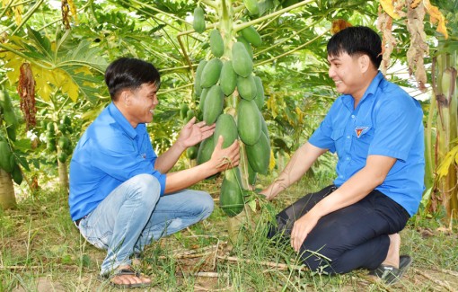 យុវ​ជន​ខ្មែរ​ បង្កើត​អា​ជីព​នៅ​នឹង​ស្រុក​កំ​ណើត​