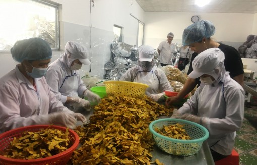 Hỗ trợ doanh nghiệp tăng sức cạnh tranh trên thị trường