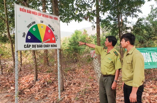 Chung sức giữ rừng Bảy Núi