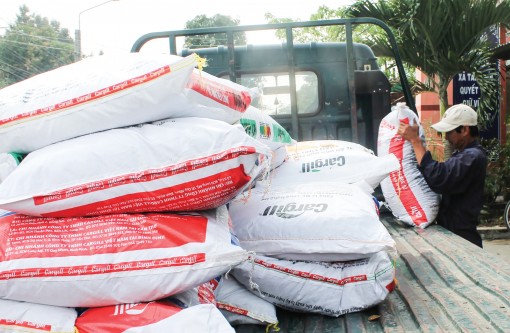 Giá thức ăn chăn nuôi tăng mạnh