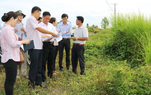 Lãnh đạo thành phố kiểm tra tình hình triển khai các khu tái định cư