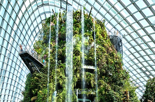 Hai loại âm thanh tự nhiên rất tốt cho sức khỏe