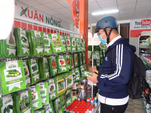 Đa dạng sản phẩm phục vụ trồng rau tại gia